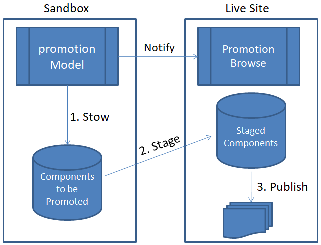 Promotion Process